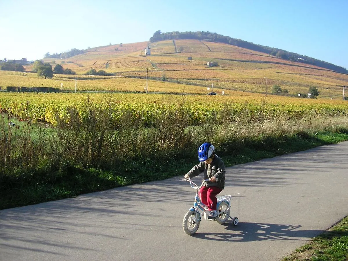 Budget Glamping Safaritent - La Grappe Fleurie 0*,
