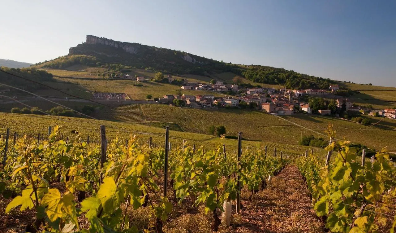 Budget Glamping Safaritent - La Grappe Fleurie