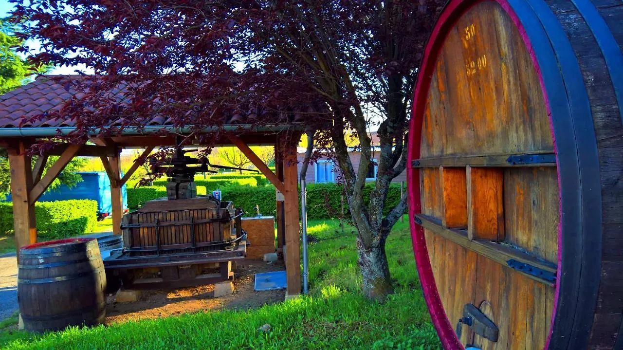 Budget Glamping Safaritent - La Grappe Fleurie 0*,